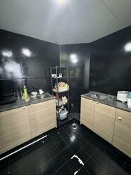 Fortune Park (D19), Condominium #594800781